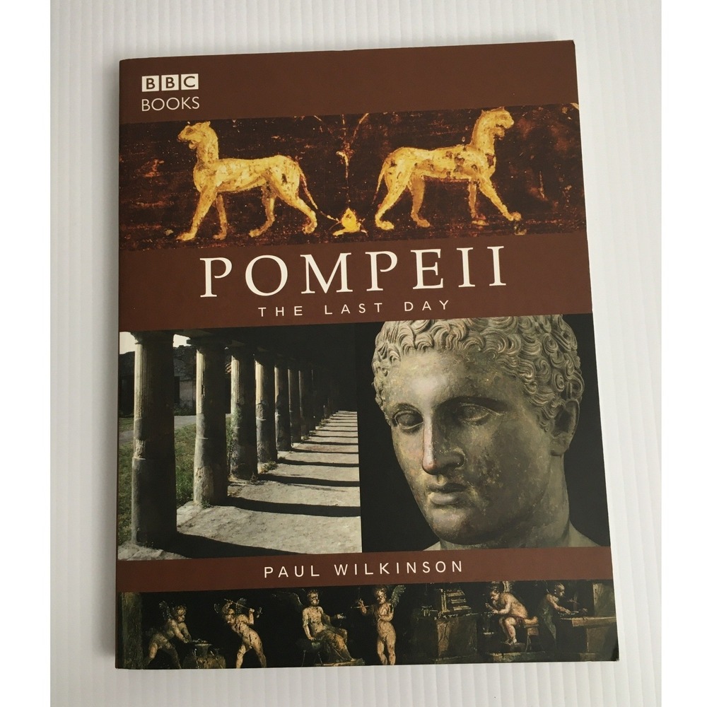 BBC Books Pompeii The Last Day Paul Wilkinson Roman History Archaeology